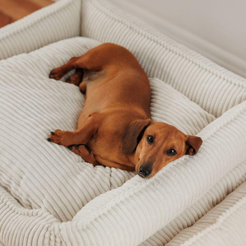 Modern Living Hundebett Helena | Komfortables Hundebett für kleine bis große Hunde | stilvolles Breitcord-Design | mit Memory Schaum gefüllt, Abnehmbarer Bezug (Beige, 65x60x18cm)