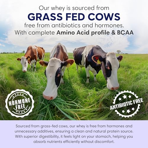 Image of Foodstrong Whey Protein Powder (Concentrate + Isolate), 100% Hormone Free Grass-Fed Whey, 26G Protein & 6.6G BCAA, Chocolate Almond, With Turmeric & Digestive Enzymes, 6 Sachets, 204G