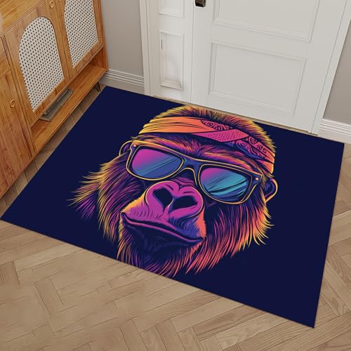 Tapis Entrée Imperméable et Absorbant Paillasson Antidérapant 80x120