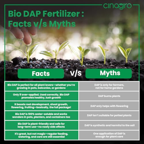 Image of Cinagro Bio DAP Fertilizers for Plants 500g Granules, Plant Food Fertilizer