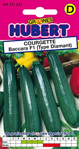 10 Graines de Courgette Baccara F1 Type Diamant