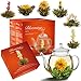 Creano Flowering Tea Gift Set - White Tea – 6 Blooming Tea with 17oz Glass Teapot