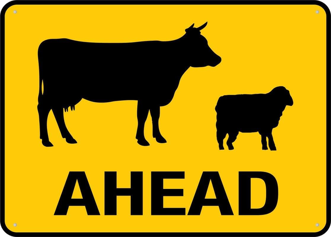 Cows Sheep Ahead Rust Free Aluminum Tin Sign - Warning Decor with Pre-Drilled Holes for Indoor-Outdoor Rural Road, Farm Road, Pasture Entrance - 8x12 Inch​