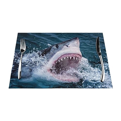 Set de table requin résistant à la chaleur pour protéger votre table en bois