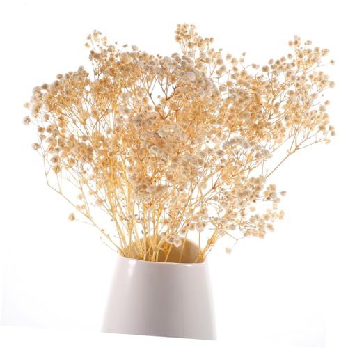 Ramo decorativo de gypsophila seca blanca 40g miniatura 3