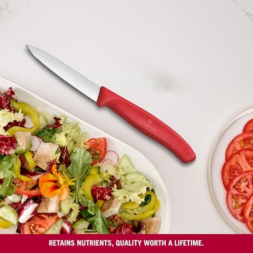 Image of Victorinox Swiss Made Stainless Steel Swiss Classic Paring Knife, Straight Edge, Kitchen Tool, Kitchen Item, 8 cm, Red, 6.7601.C1