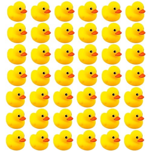 Aq ^ F VR  o q S q l  V 蕨 100ZbgAq C  Aq C  Ђ CɕׂAq Aq