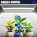 Barrina Grow Lights, 2FT 5000K White Full Spectrum Plant Growing Lamps, 144W(6 x 24W, 800W Equivalent), T8 LED Grow Light Bulbs, Plant Lights for Indoor Plants, Greenhouse, Linkable Design, 6-Pack