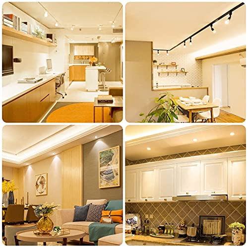 AscenLite Lampadina LED G12 12W Lampadina a Mais