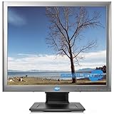 SIMPLETEK - 19" IPS LCD-Monitor 1280x1024 5:4 - DisplayPort DVI VGA USB-Hub | Wandmontage | Einstellbare Basis inklusive (Generalüberholt)