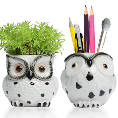 Owl Ceramic Planters Mini Plant Pots 3Inch With Drainage Pen Pencil Holder Cute Decor Flower Planters Gift Packaging Herb Cactus Plant Pots Air Plant Kitchen Window Gardening Starter Set Teacher Gifts