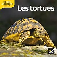 Les docs Ribambelle cycle 2 éd. 2013 - Les tortues 2218957337 Book Cover