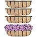 Amazon.com : Y&M 4pcs 24 Inch Window Deck with Coco Liner, 24