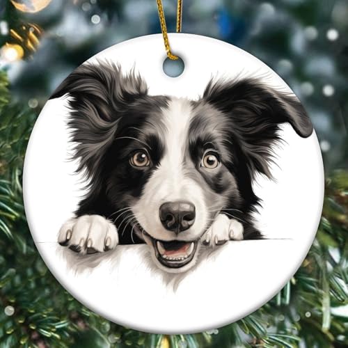Peeking Border Collie Weihnachtsbaumschmuck Hund und Katze Liebhaber Tier Rund Porzellan Anhänger Keramik Porzellan Hängende Weihnachtskugel Geschenk für Urlaub Weihnachtsbaum Party Dekorationen