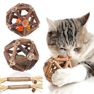 Durable Cat Chew with Catnip and Silvervine for Hunting Stimulation，2 Balls+2 Pieces