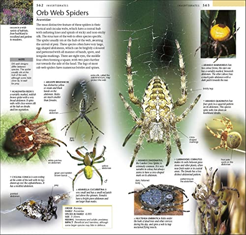 Pocket Nature Wildlife of Britain and Ireland: A unique Photographic Guide to the Animals and Plants