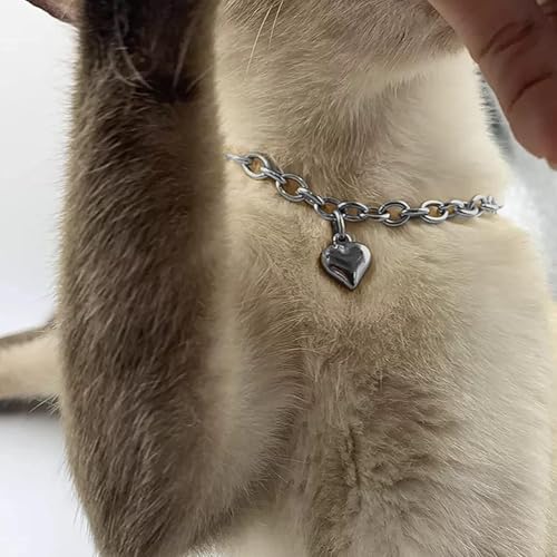 Image of HOWWFALY Dog Collar and Cat Chain Necklace Stainless Steel Adjustable 18K Sliver Heart-Shaped Necklace for Small Pets Cats Kitten Puppy (Sliver, 10 inch)