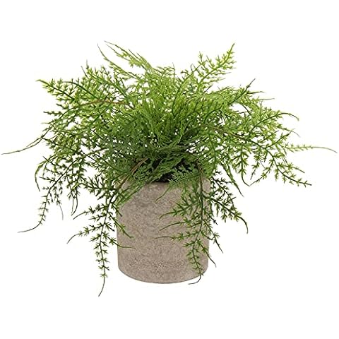 Briful Small Fake Plant Potted Plants Artificial Decor Plastic Asparagus Ferns Plant Faux Plants in Pots for Home Living Room Bedroom Desk Shelf Farmhouse Decoration Cover