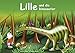 Lille und die Dinosaurier: Kinderbuch mit farbigen Illustrationen zum Anschauen und Vorlesen für Kinder ab 4 Jahre und für Erstleser.