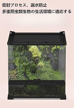 爬虫類　両生類　飼育ケージ　前開き　50×30×25 Amazon | haoyunjianjiak 爬虫類ケージ 爬虫類/両生類飼育ケース