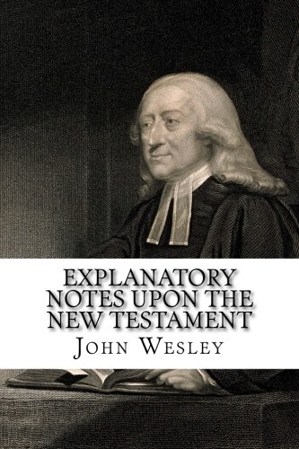 Explanatory Notes upon the New Testament 198114532X Book Cover