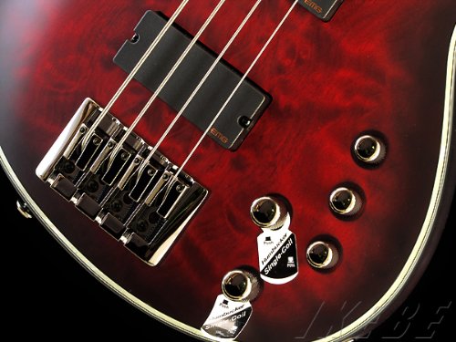 Amazon | SCHECTER HELLRAISER EXTREME 4 【AD-HR-EX-BASS-4