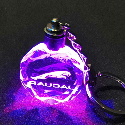 VILLSION LED Jaguar Llavero Accesorios Colores Cambiantes Logo Coche con luz LED Llave