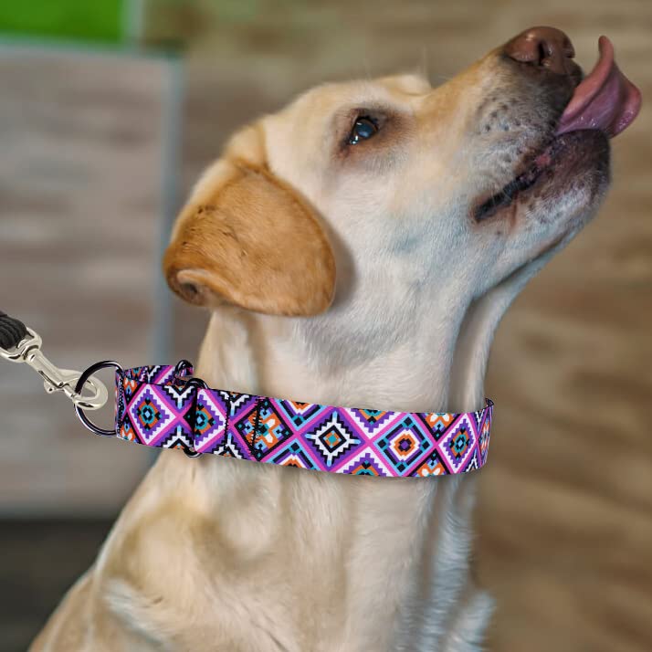 MUROM Southwest Hondenhalsband Tribal Patroon Verstelbare Puppy Halsbanden voor Kleine Medium Grote Honden Azteekse Print (Azteekse, Nek Fit 35-45 cm