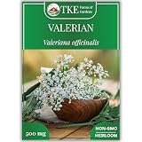 TKE Farms & Gardens - Valerian Seeds for Planting, 500+ Non-GMO Heirloom Medicinal Herb Seeds, Thrives in Gardens or Containers, Easy to Follow Instructions Included, Valeriana officinalis, Qty 1