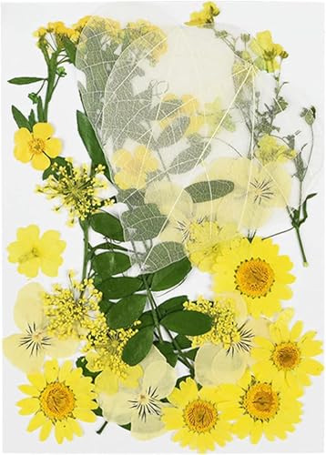 Small Dried Flower Pressing Chrysanthemum Festival