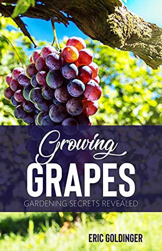 GROWING GRAPES: Gardening Secrets Revealed