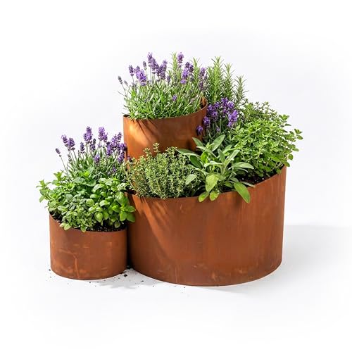 Relaxdays Kräuterspirale HxBxT: 43 x 61 x 41 cm 3 Segmente Rost Stahl Kräuterpyramide Garten Kräuterbeet braun