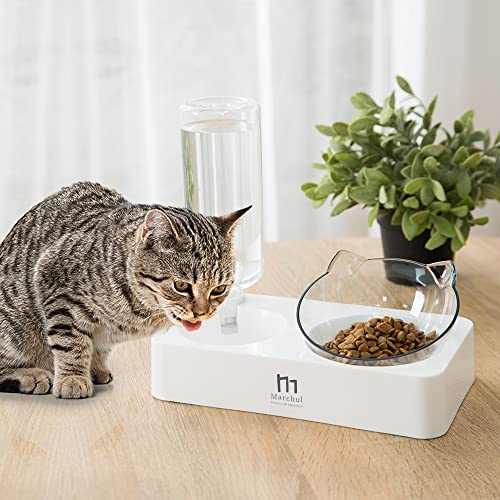 Marchul-Tilted-Cat-Food-Bowl-with-Feeding-Mat-Raised-Cat-Bowls-for-Food-and-Water-Food-Feeding-Dishes-for-Cats-and-Puppies