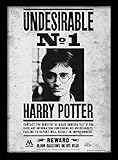 Harry potter (undesirable No1) 30x40 cm gerahmter Druck