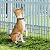 Animal Barrier Fence 19 Pack - 16.7 in(H) x 20.68 ft(L) No Dig Dog Decorative Garden Fence Rustproof Metal Wire Panel Border, Animal Ground Stakes Fencing for Garden, Patio