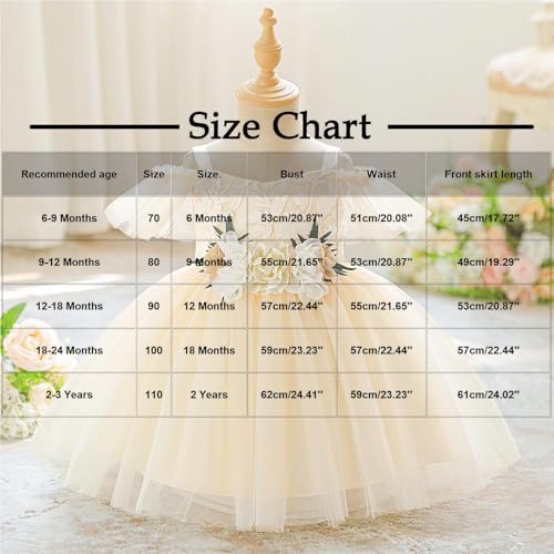 Toddler Kids Off Shoulder Tulle Pageant Dresses Puffy Wedding Bridesmaid Princess Party Gown Flower Girl Dress for 1-3 Years3