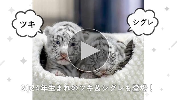 とらのこ | RIKU |本 | 通販 | Amazon