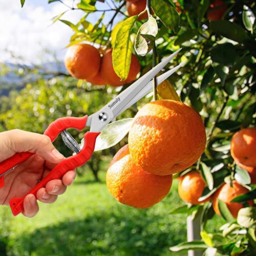 Sunuly Extra Long Pruning Shears, Gardening Hand Pruners With Stainless Steel Blades, Garden Scissors For Arranging Flowers, Trimming Plants, Harvesting Herbs, Fruits Or Vegetables, 9.5In #TOP3