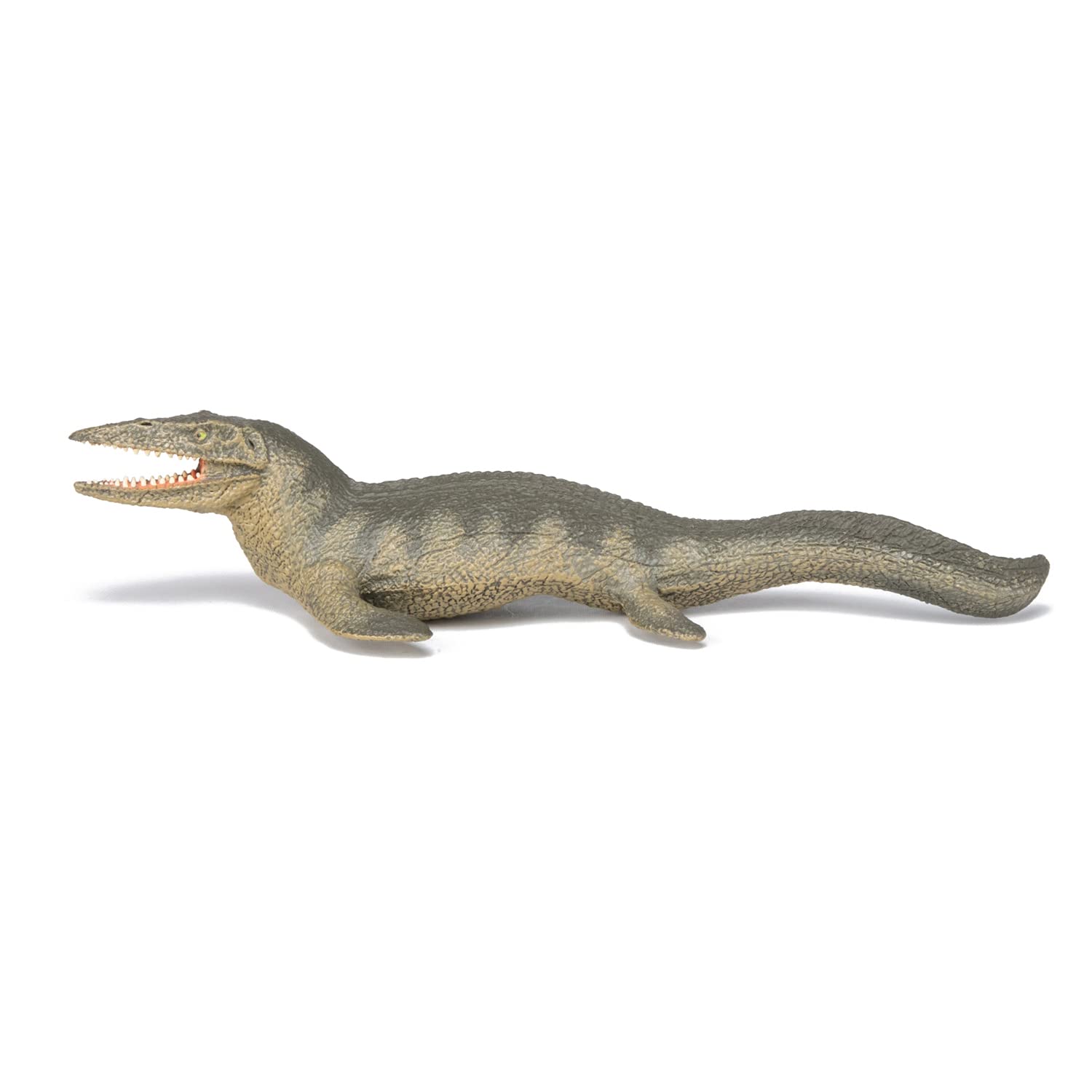 Papo(パポ) ティロサウルス PVC PA55024 tf8su2k Amazon | Papo(パポ) ティロサウルス PVC PA55024 | フィギュア
