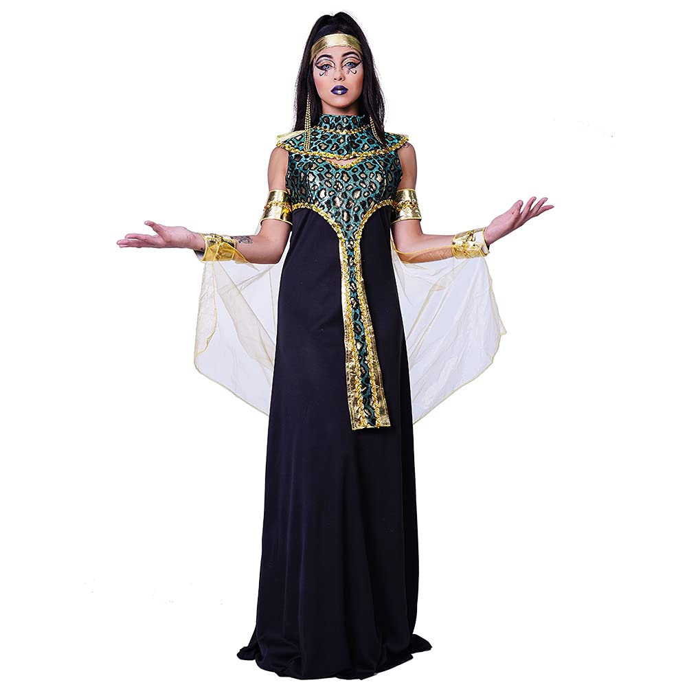 Visit the DSplay Store