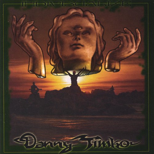 Amazon.com: Indivisualize : Danny Timko: Digital Music