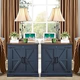 Barnyatoh Farmhouse End Table with Charging Station,24' Large Side Table with Barn Door, Rustic Wood Square Nightstand Bedside Table with Adjustable Storage Shelf for Living Room, Bedroom,Blue 2-Pack