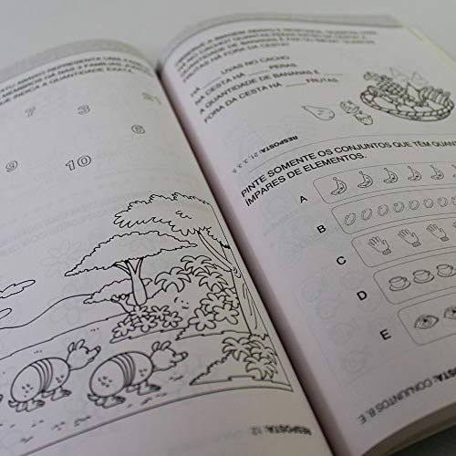 Kit 10 Livros | 365 Atividades Para Treinar Matemática
