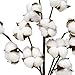 Cotton Stem - Pack of 3 - Floral Cotton Wired Stem / Stalk - Bulk Wholesale Pricing