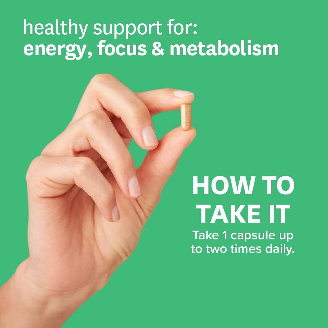 Buy Zenwise Green Tea Extract With Egcg Vitamin C Antioxidant Immune Supplement Vegan Skin Heart Support Brain Health Memory Boost 1 Count Online At Buy Zenwise Green Tea Extract With Egcg Vitamin C Antioxidant Immune Supplement Vegan Skin Heart Support Brain Health Memory Boost 1 Count Online At