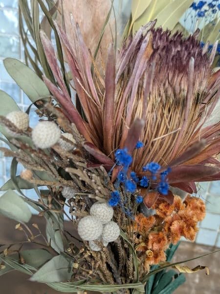 ＊専用＊ラムズイヤー&ライムボール  ドライフラワースワッグ 専用＊ライムボール＆グリーン ドライフラワースワッグ 専用