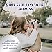 PetSilver Dog Ear Cleaner Solution – Gentle Ear Wash for Dogs and Cats with Chelated Silver – Otic Rinse Formula Targets Wax Buildup, Smelly Odor, and Itchy or Irritated Areas - Made in USA - 8 fl oz