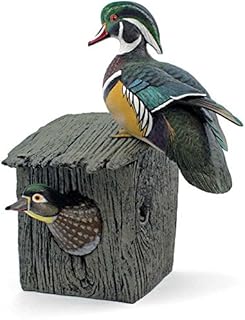 Wild Wings Nesting Wood Duck Pair Sculpture by Sam Nottleman