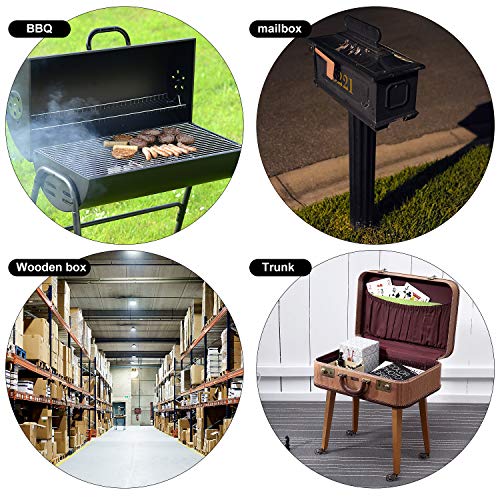 EXLECO Morsetti a Ginocchiera GH-4001 8 Pcs