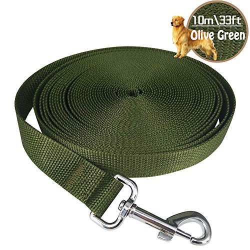 HuLuBB - Correa de Entrenamiento para Perros para Camping, Seguimiento de obediencia, Juegos de Patio Trasero